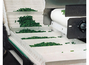 食品输送机 白色塑料链板输送 蓝色塑料链板输送机 果蔬休闲食品输送机
